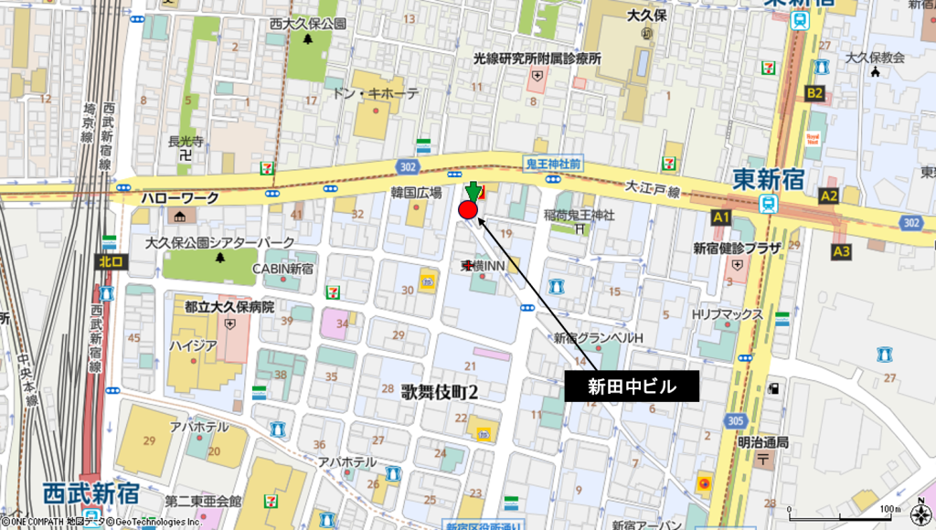 歌舞伎町　新田中ビル（西側壁面）